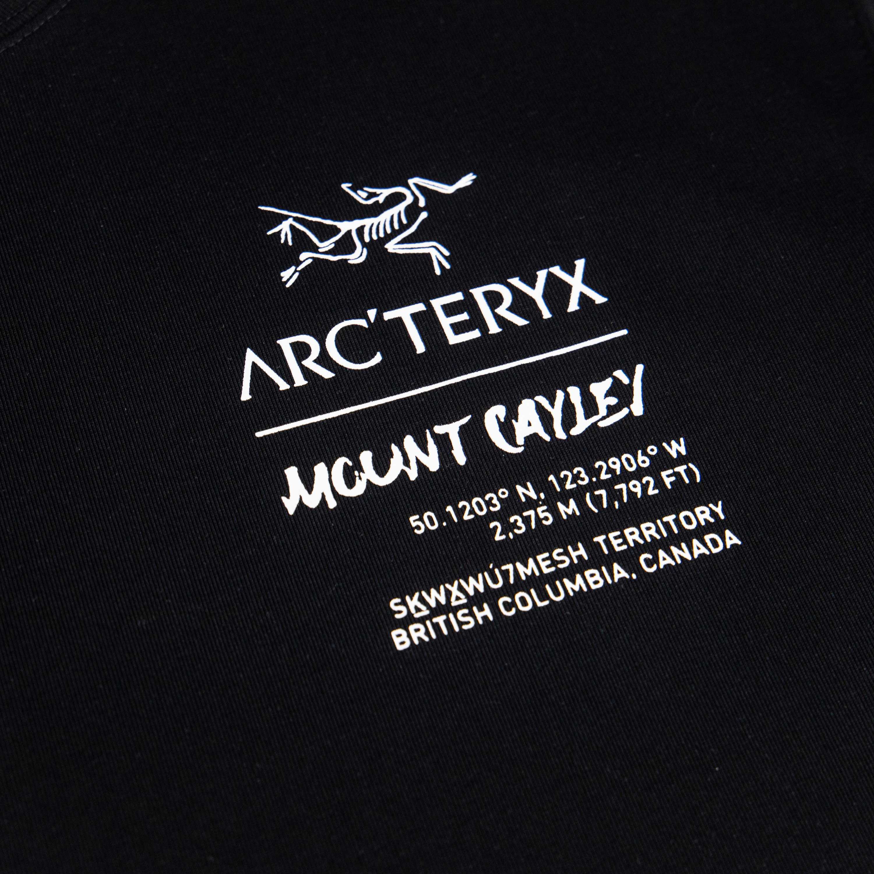 LuxluxHouse Best Quality Clothes T-shirt Arcteryx