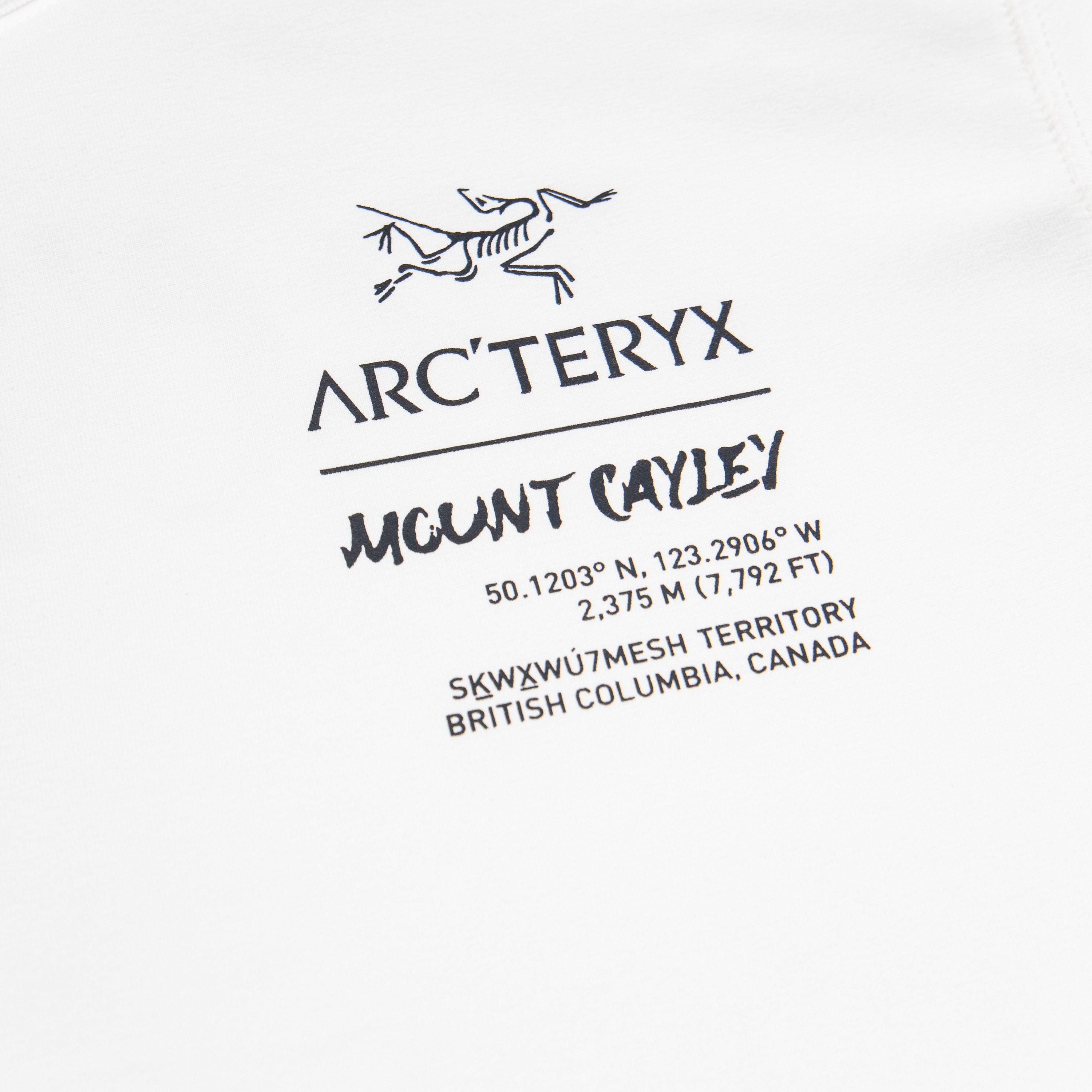 LuxluxHouse Best Quality Clothes T-shirt Arcteryx