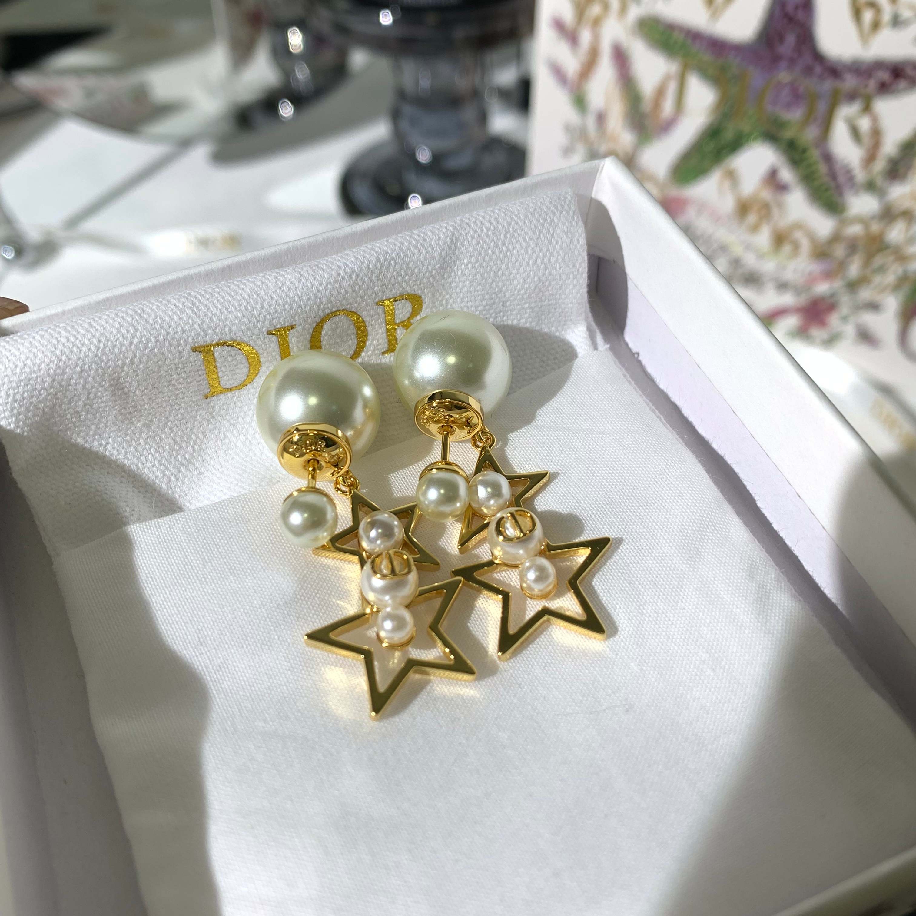 LuxluxHouse Best Quality Accessories Earrings Dior