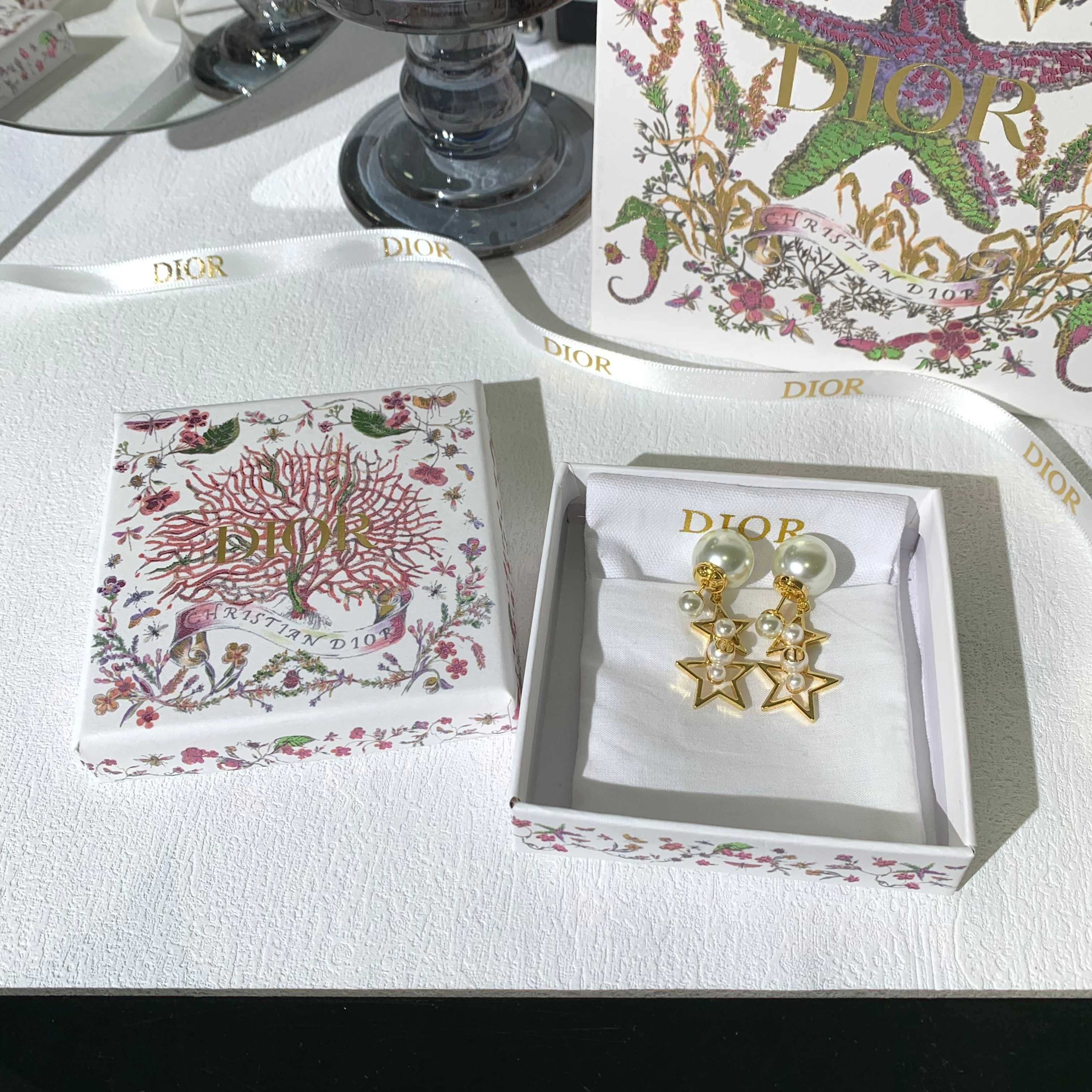 LuxluxHouse Best Quality Accessories Earrings Dior