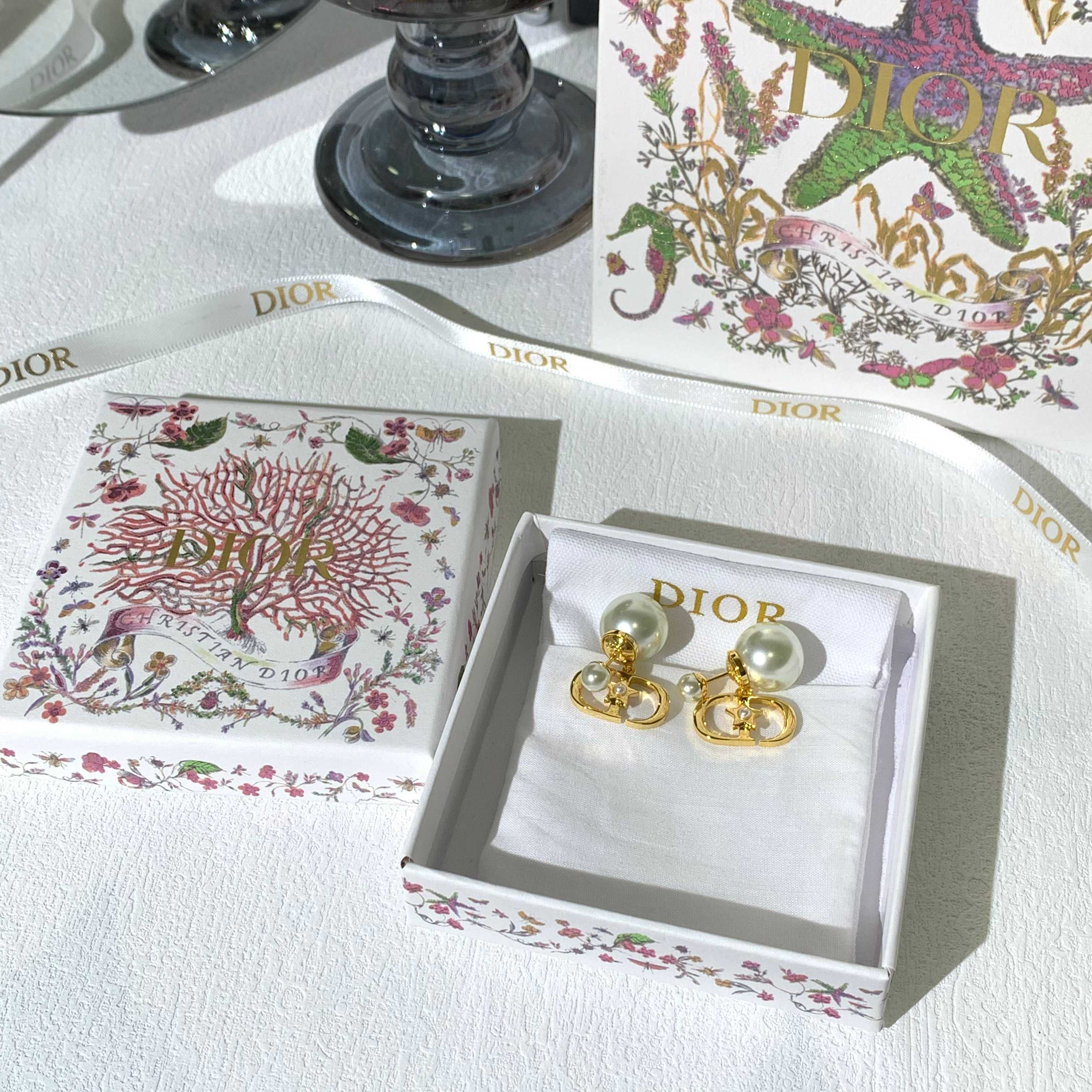 LuxluxHouse Best Quality Accessories Earrings Dior