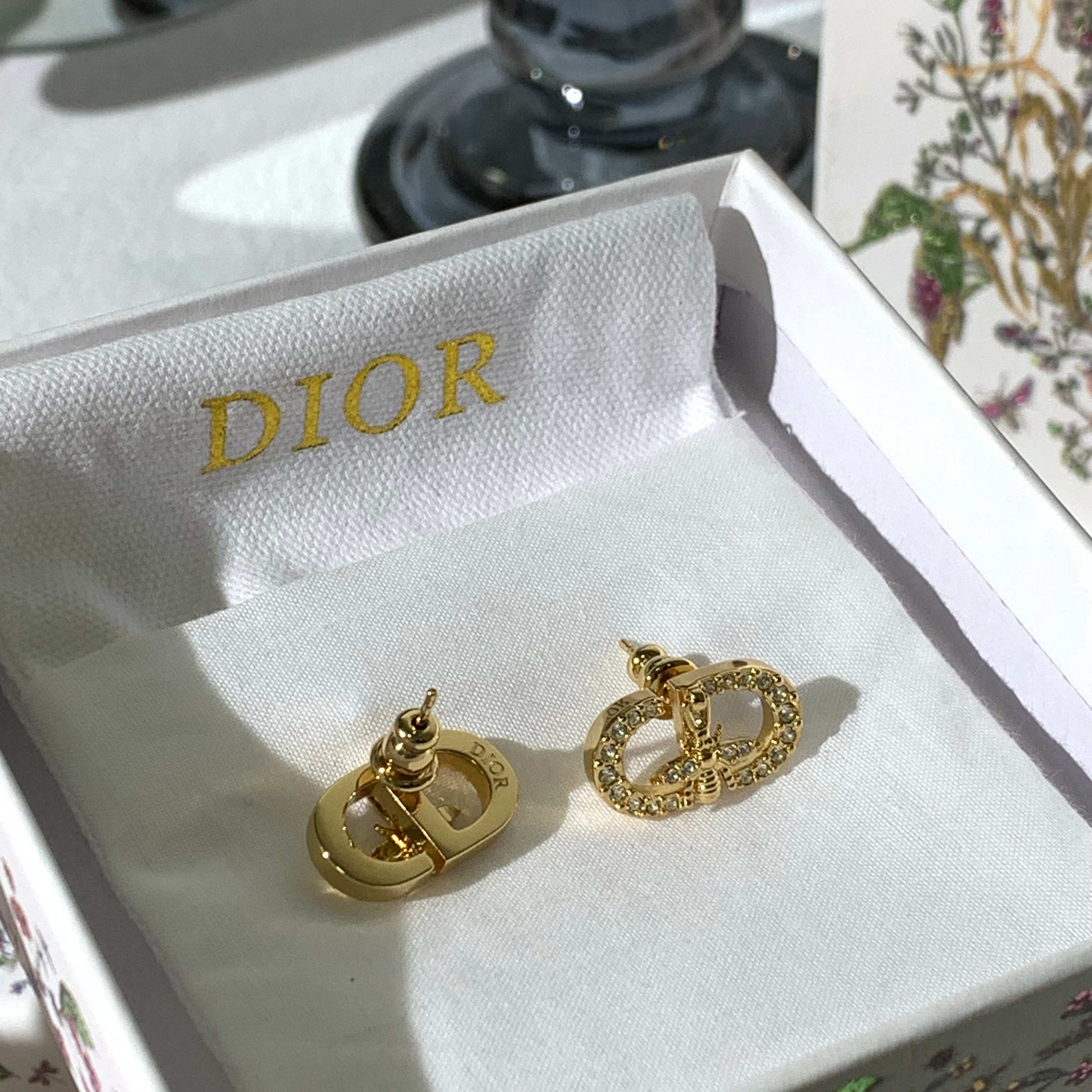 LuxluxHouse Best Quality Accessories Earrings Dior