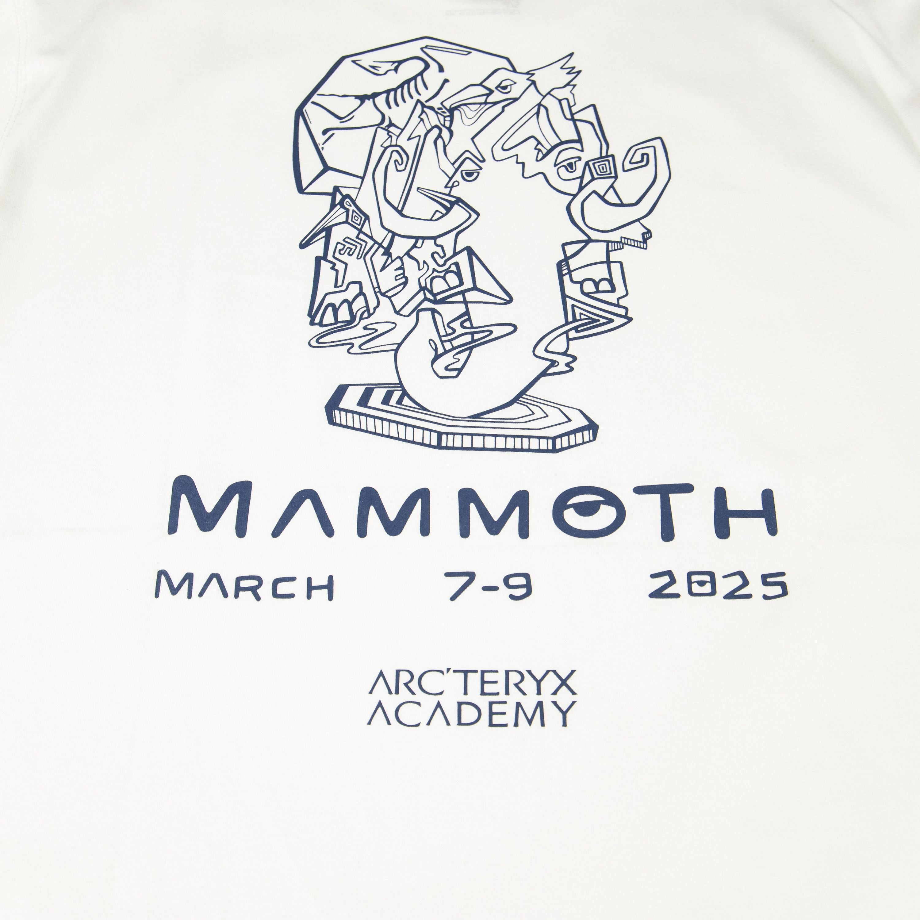 LuxluxHouse Best Quality Clothes T-shirt Arcteryx