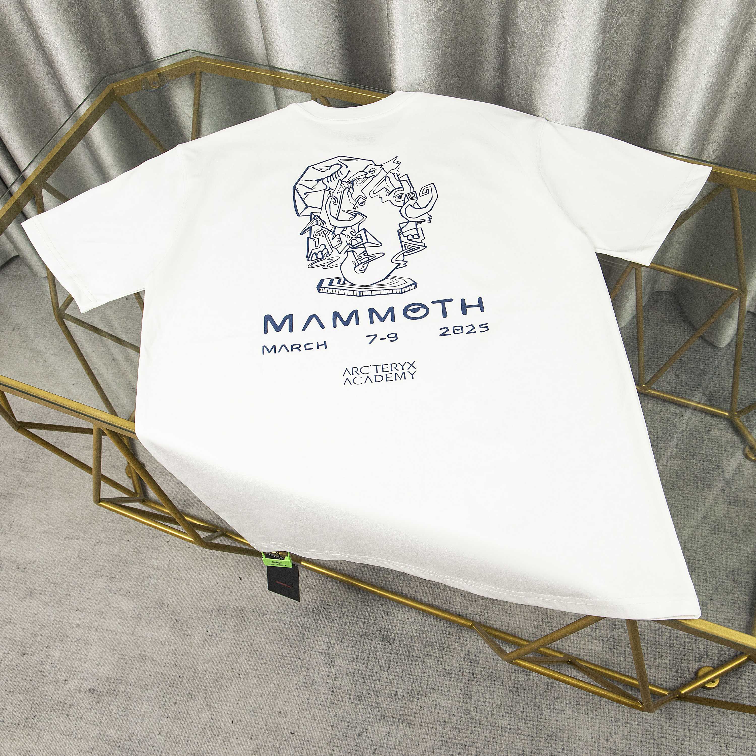 LuxluxHouse Best Quality Clothes T-shirt Arcteryx