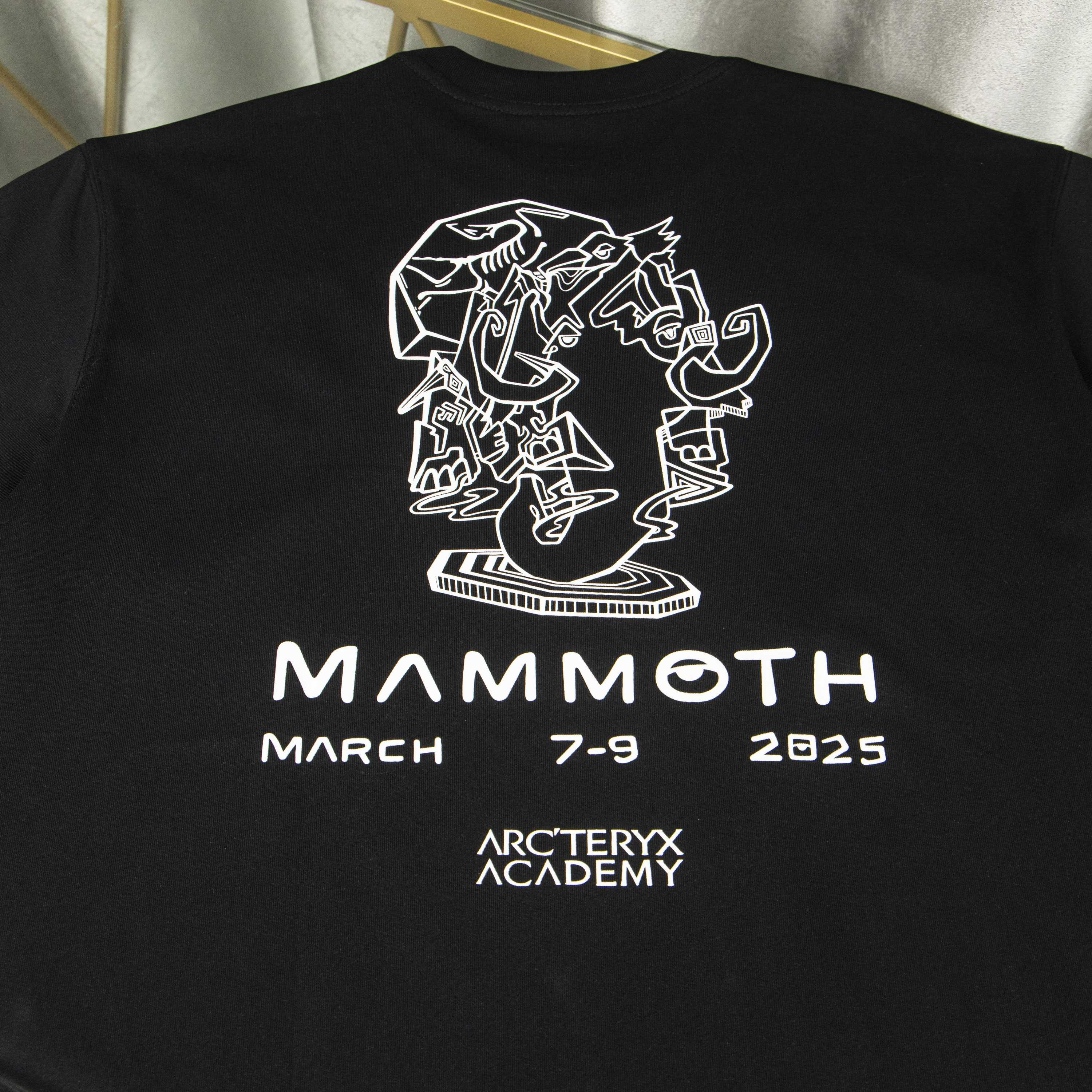 LuxluxHouse Best Quality Clothes T-shirt Arcteryx