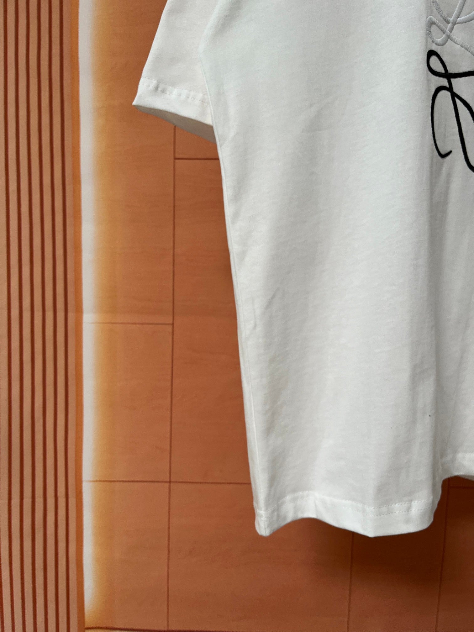 LuxluxHouse Best Quality Clothes T-shirt Loewe