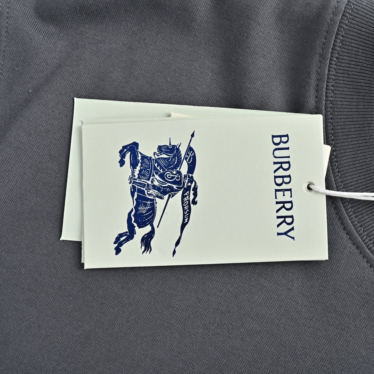 LuxluxHouse Best Quality Clothes Burberry T-shirt