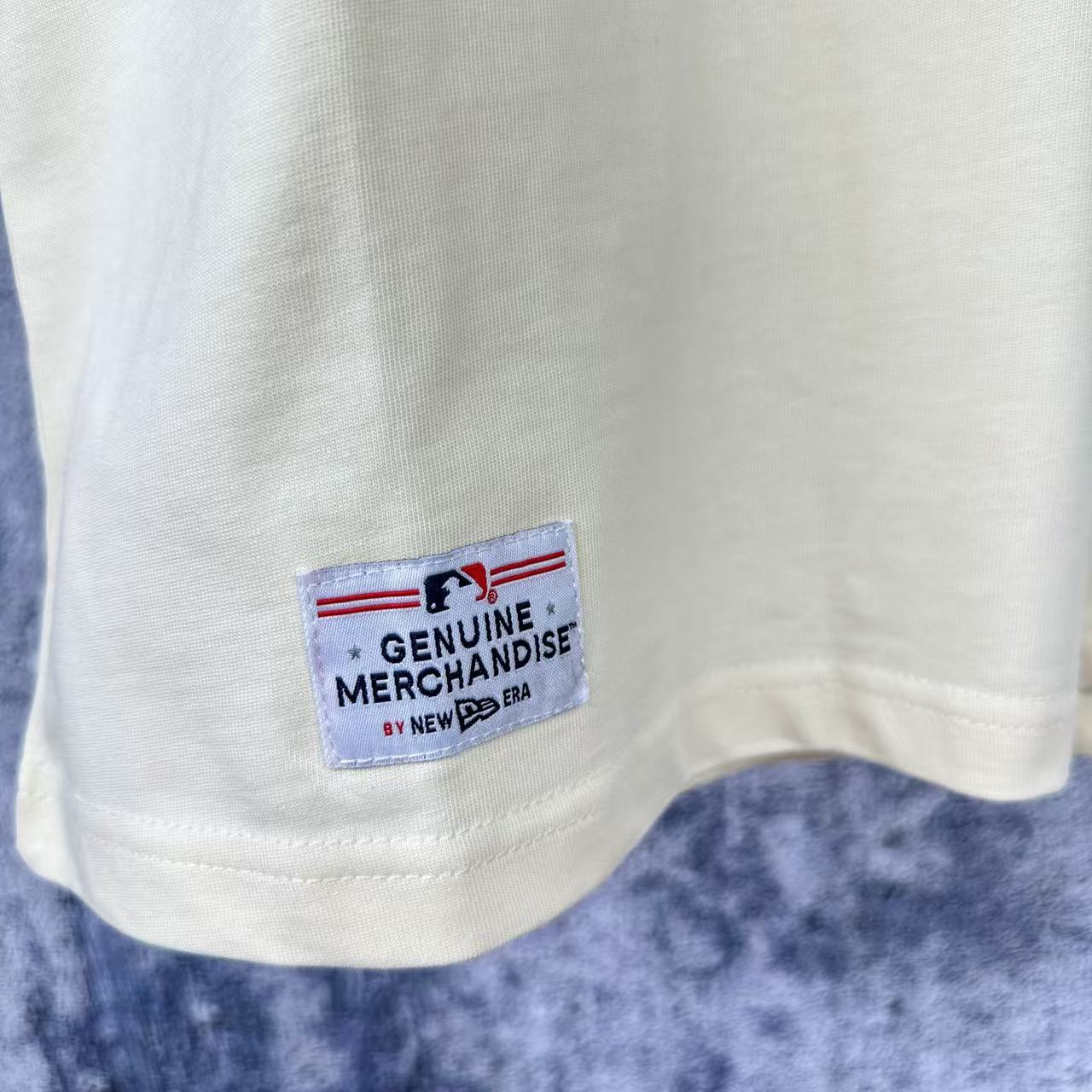 LuxluxHouse Best Quality Clothes The North Face & MLB T-shirt