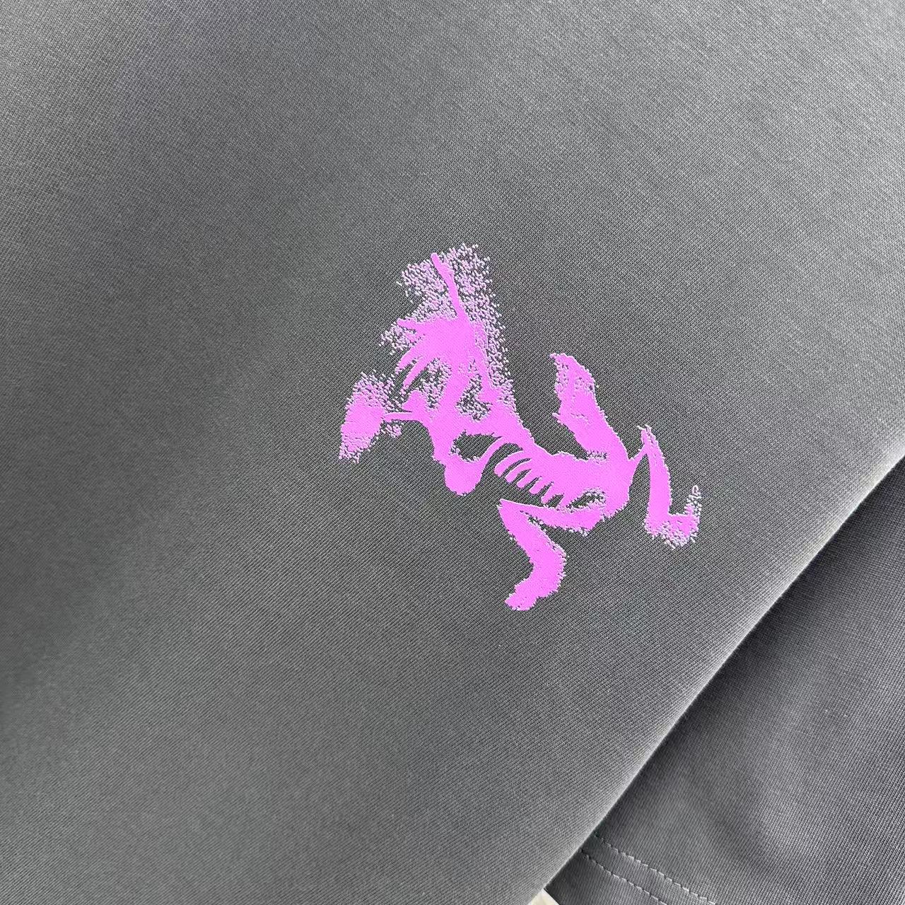 LuxluxHouse Best Quality Clothes T-shirt Arcteryx