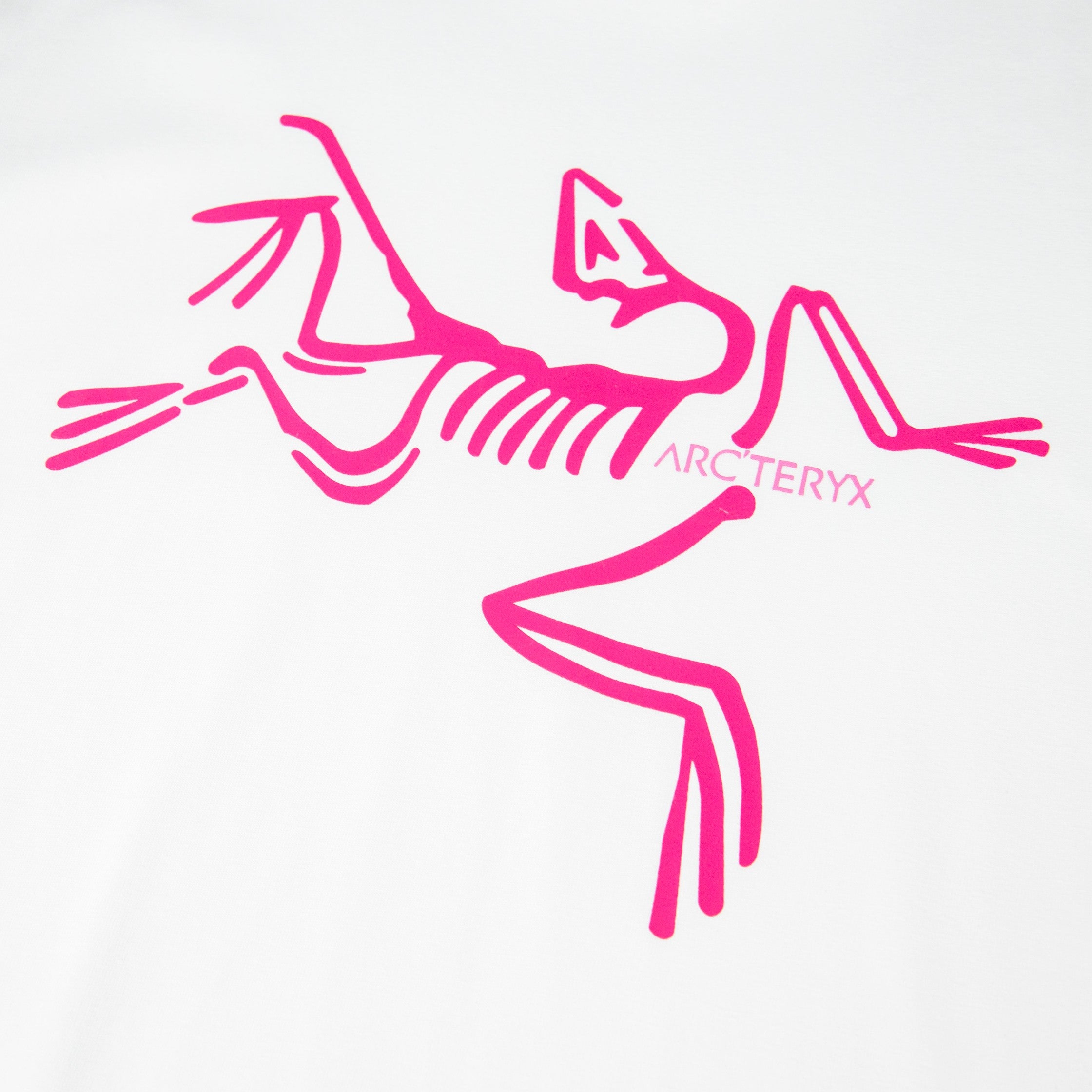 LuxluxHouse Best Quality Clothes T-shirt Arcteryx