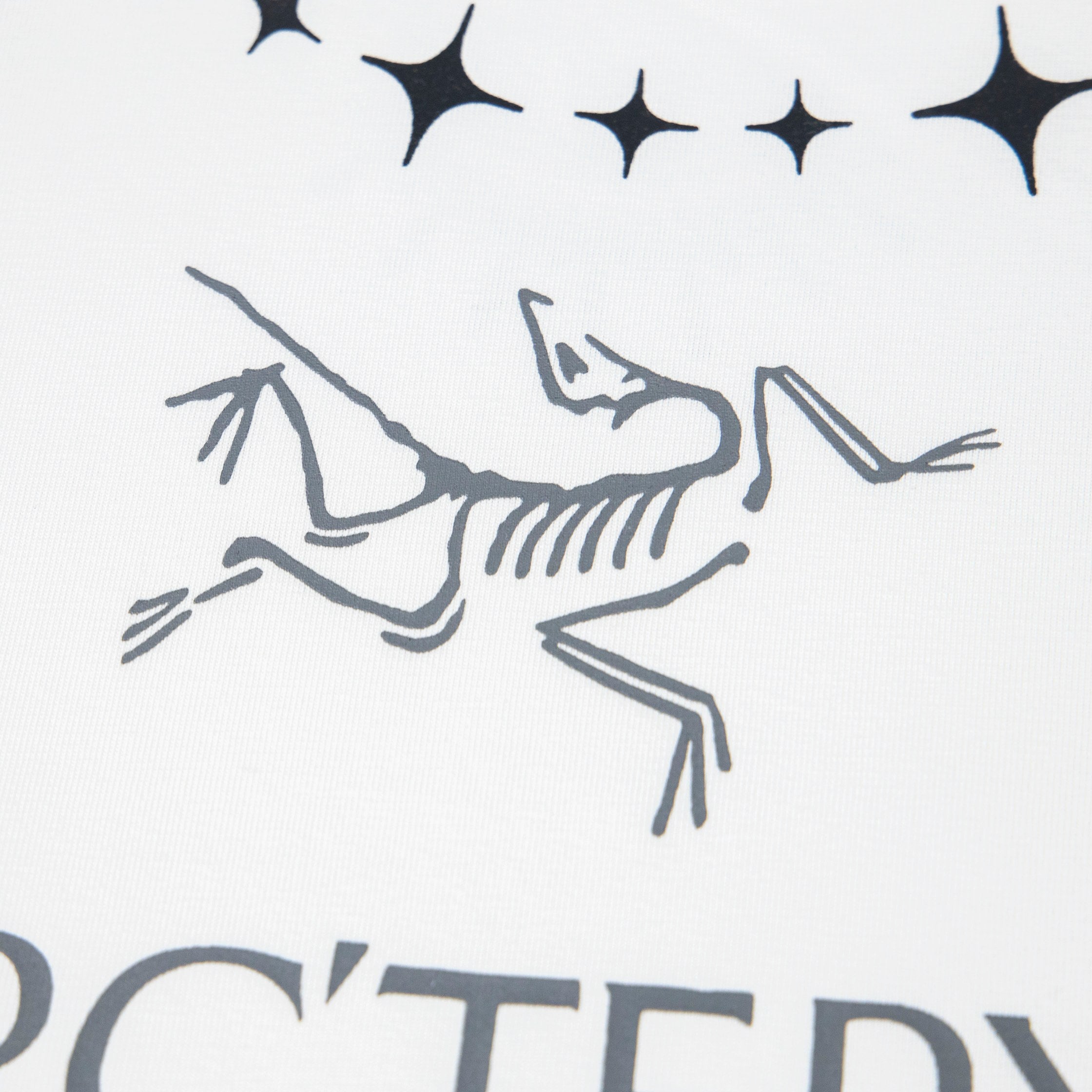 LuxluxHouse Best Quality Clothes T-shirt Arcteryx