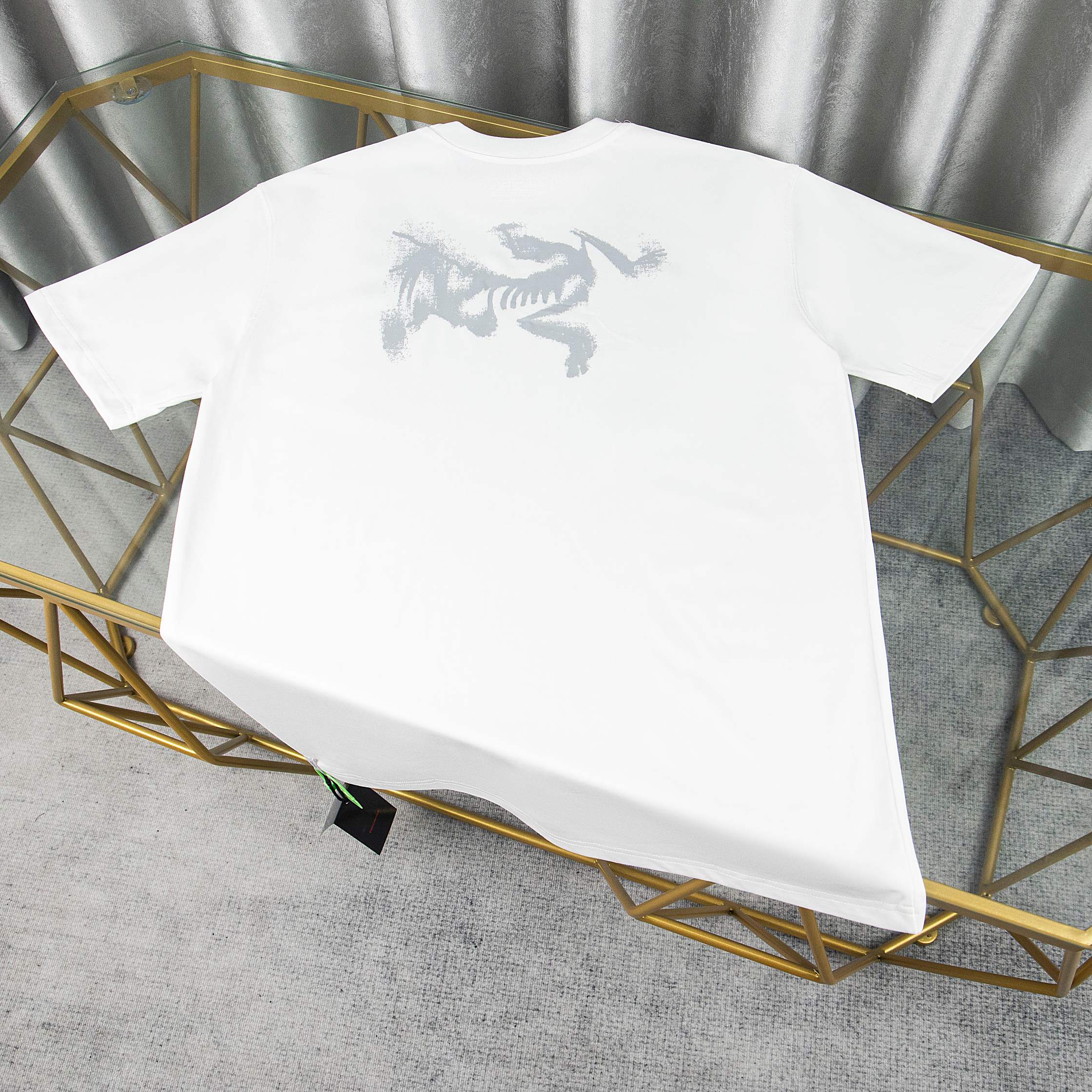 LuxluxHouse Best Quality Clothes T-shirt Arcteryx