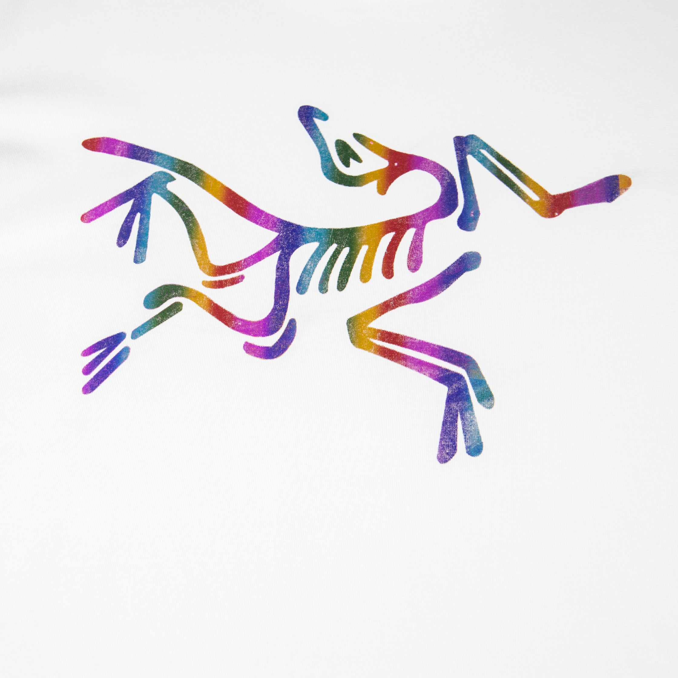 LuxluxHouse Best Quality Clothes T-shirt Arcteryx