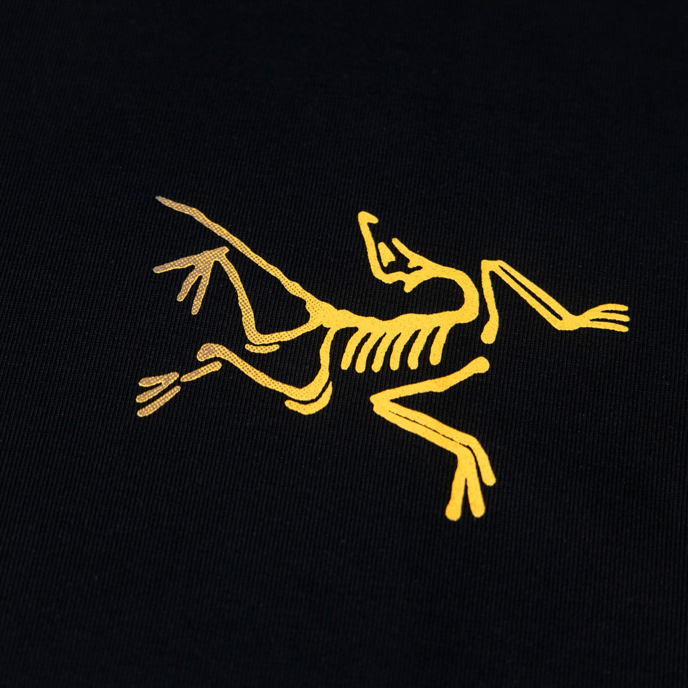 LuxluxHouse Best Quality Clothes T-shirt Arcteryx