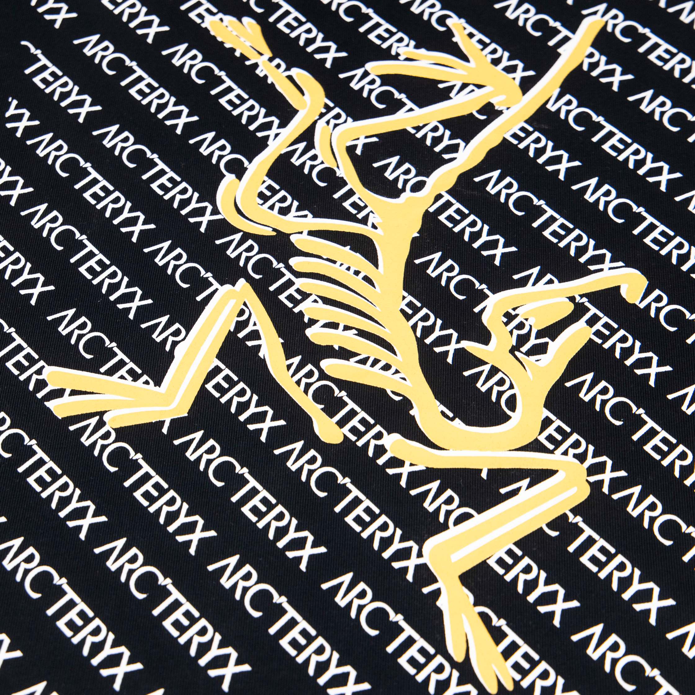 LuxluxHouse Best Quality Clothes T-shirt Arcteryx