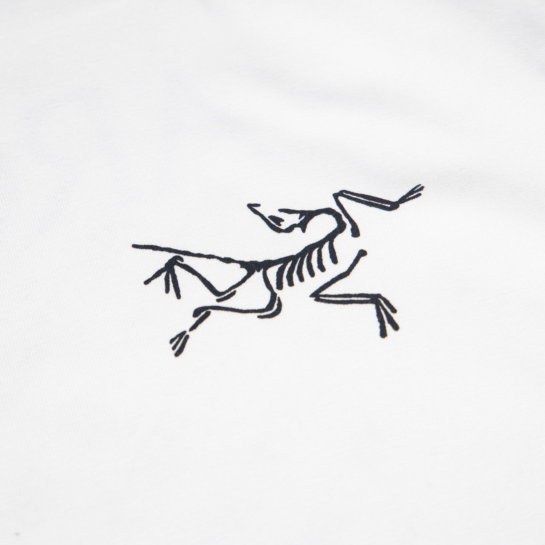 LuxluxHouse Best Quality Clothes T-shirt Arcteryx