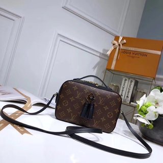 LuxluxHouse Great quality Louis Vuitton Bag Top Quality 22*16*8cm Free shipping