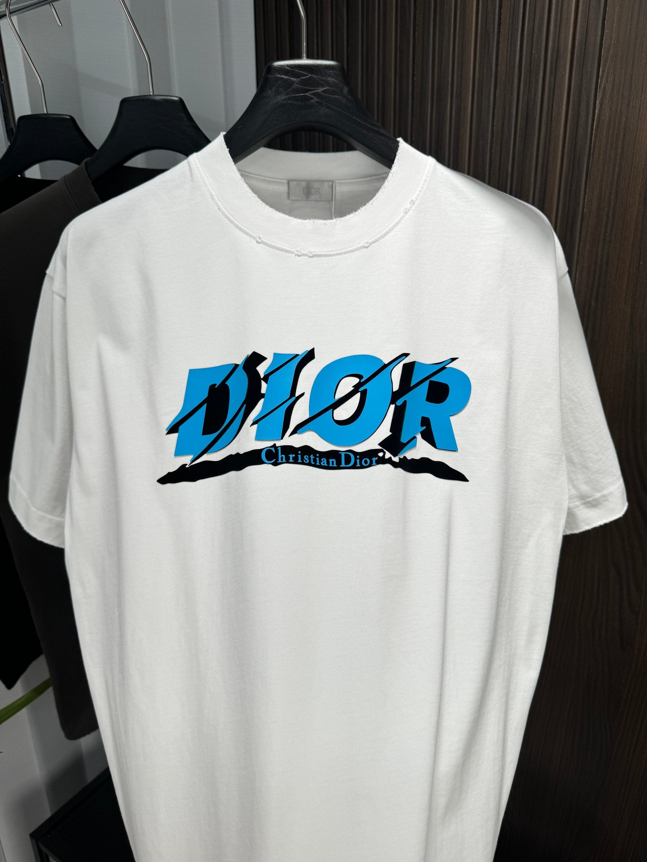 LuxluxHouse Best Quality Clothes T-shirt Dior