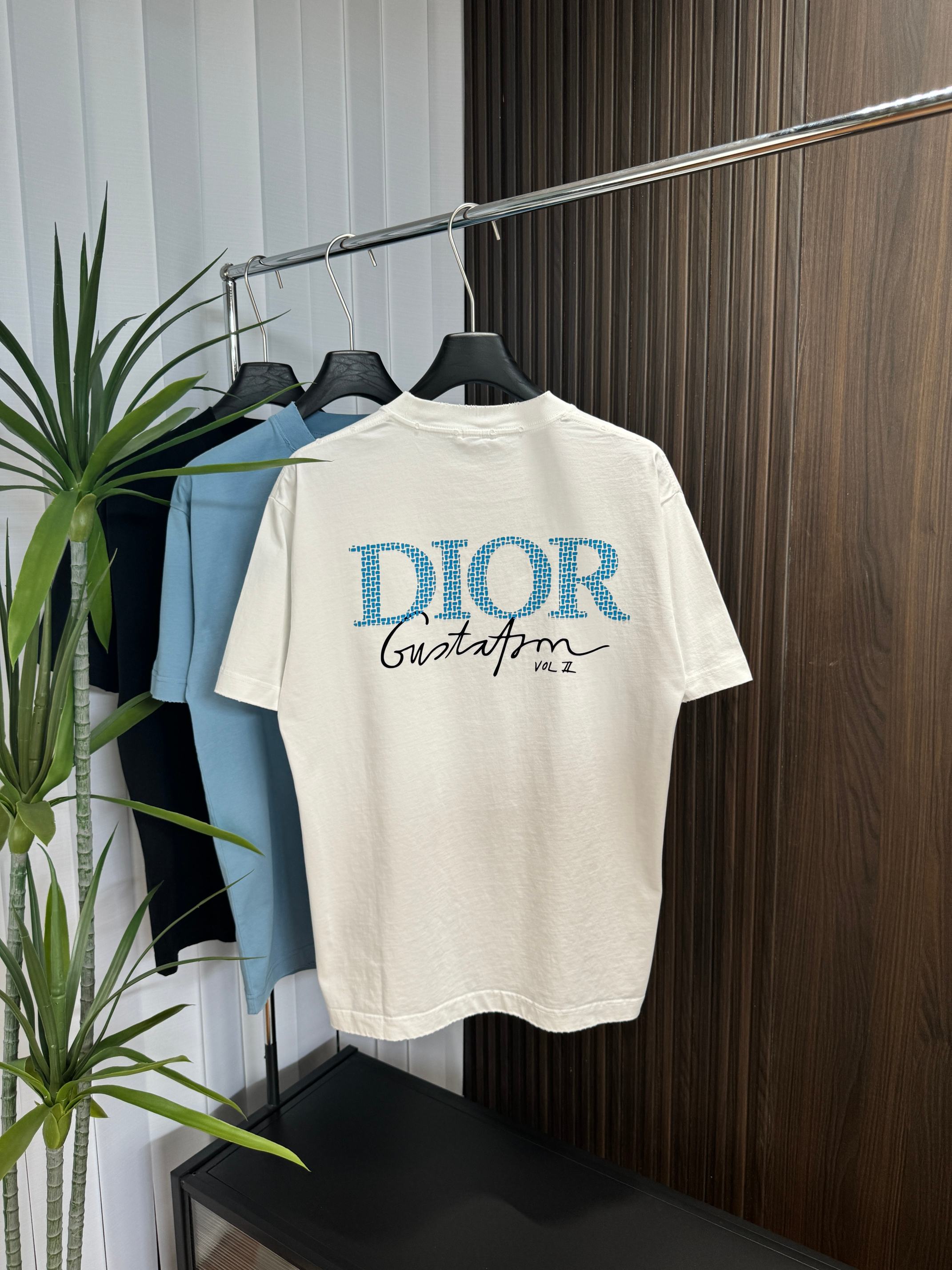 LuxluxHouse Best Quality Clothes T-shirt Dior