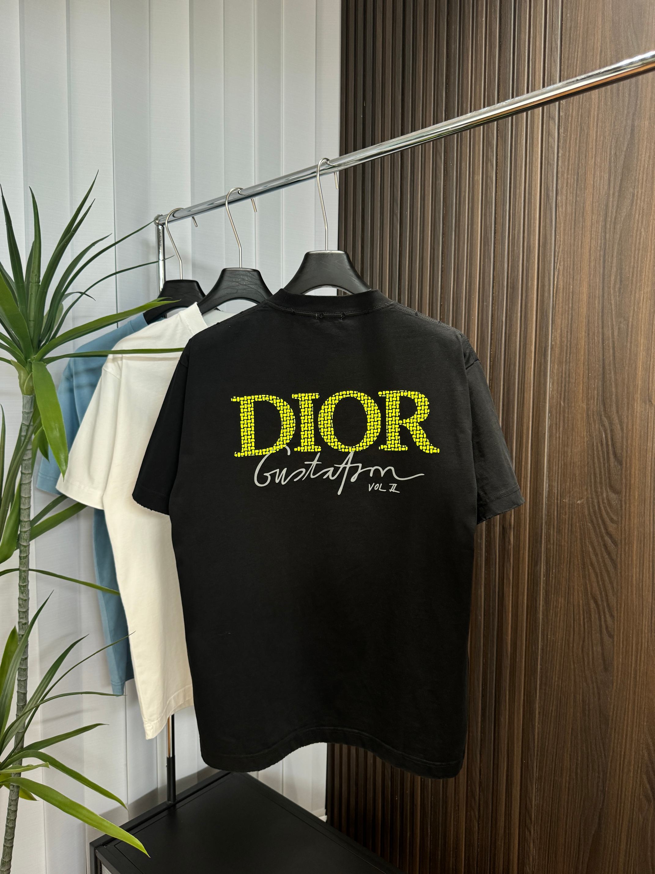 LuxluxHouse Best Quality Clothes T-shirt Dior