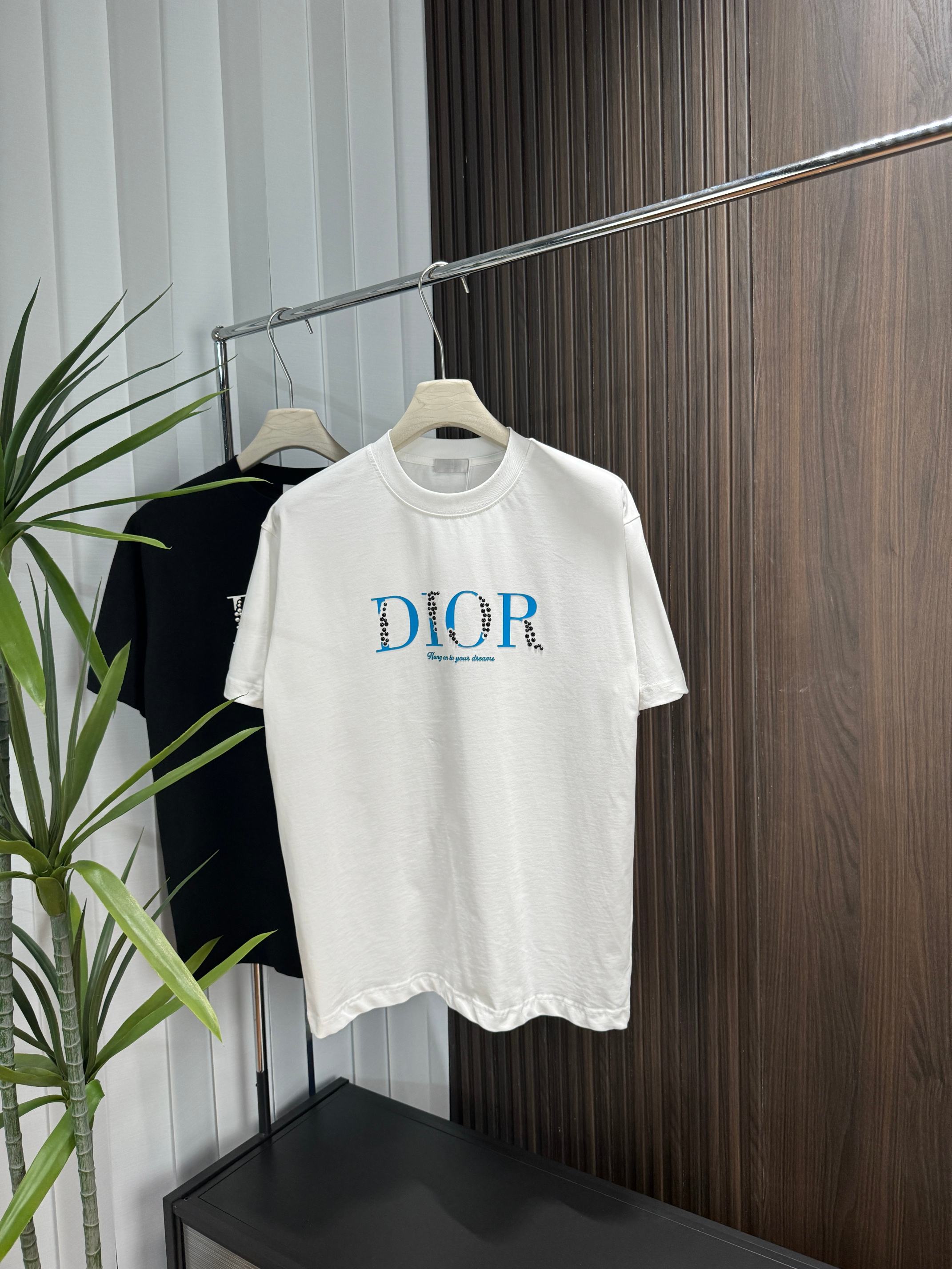LuxluxHouse Best Quality Clothes T-shirt Dior