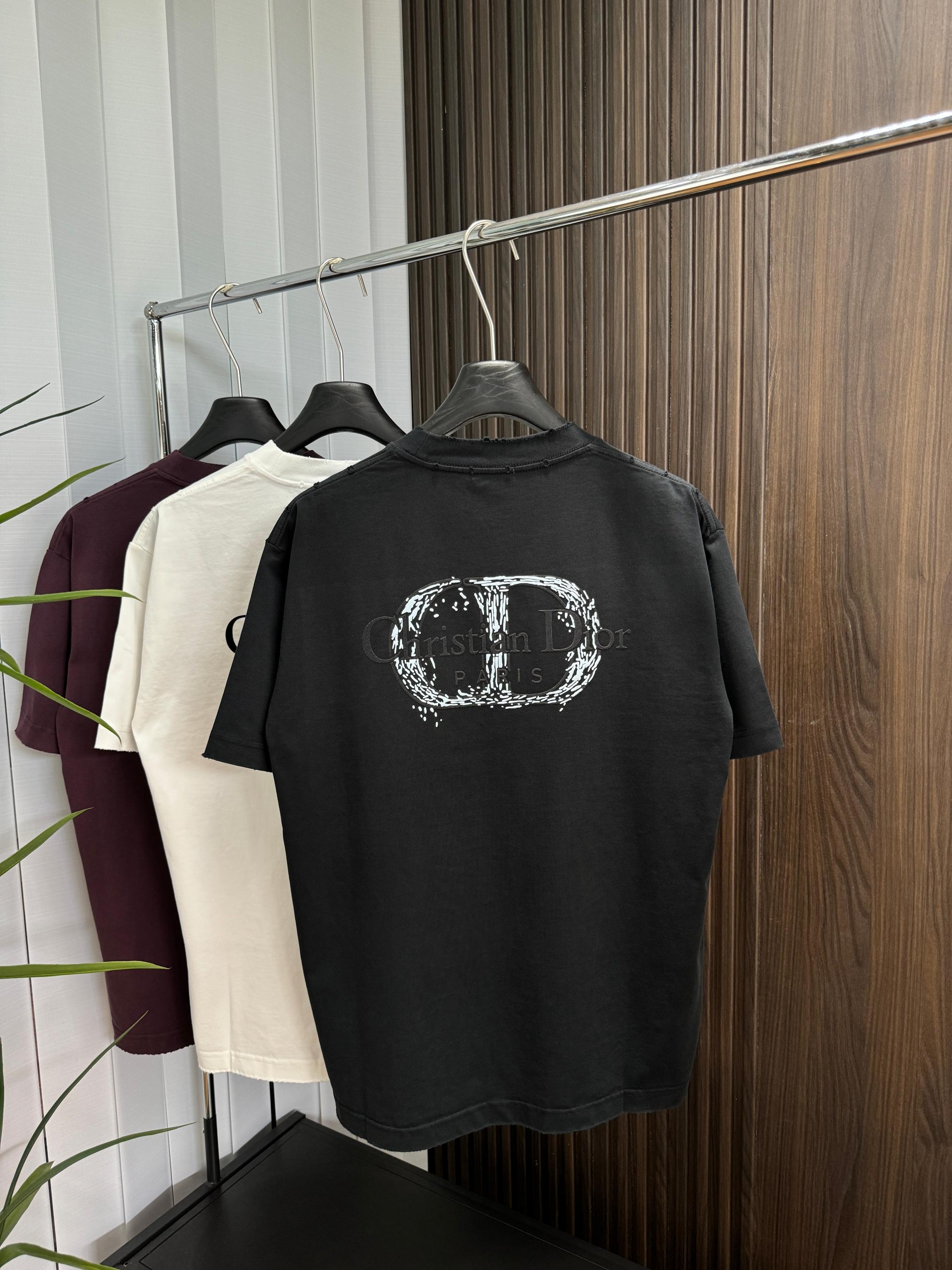 LuxluxHouse Best Quality Clothes T-shirt Dior