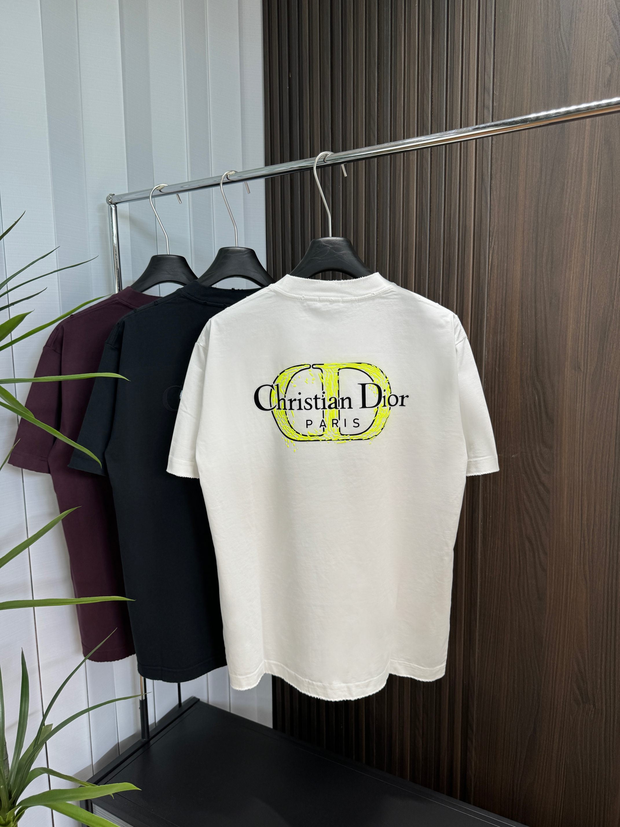 LuxluxHouse Best Quality Clothes T-shirt Dior