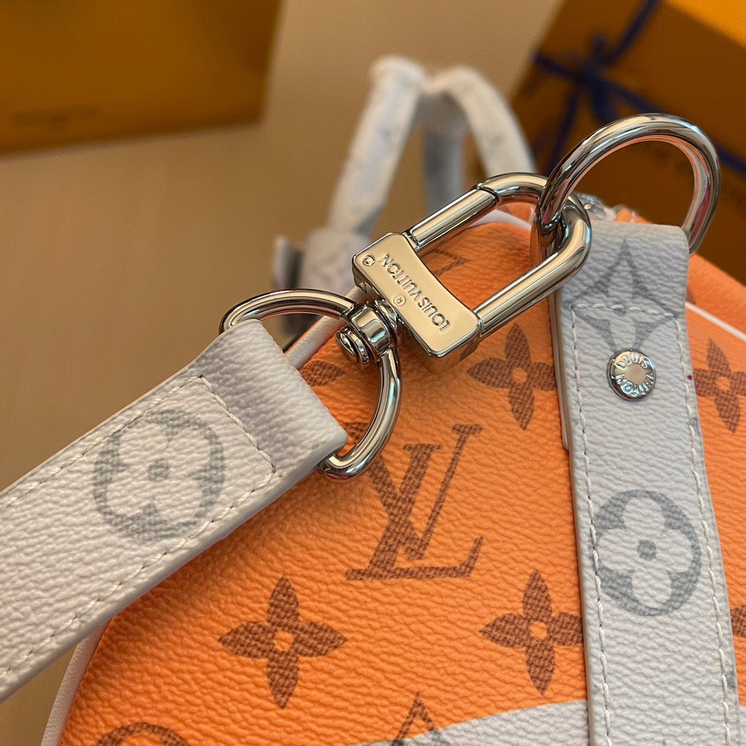 Louis Vuitton Top Bag (LuxluxHouse)