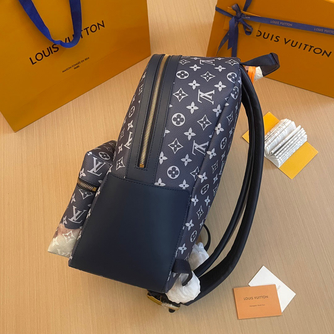 Louis Vuitton Top Bag (LuxluxHouse)