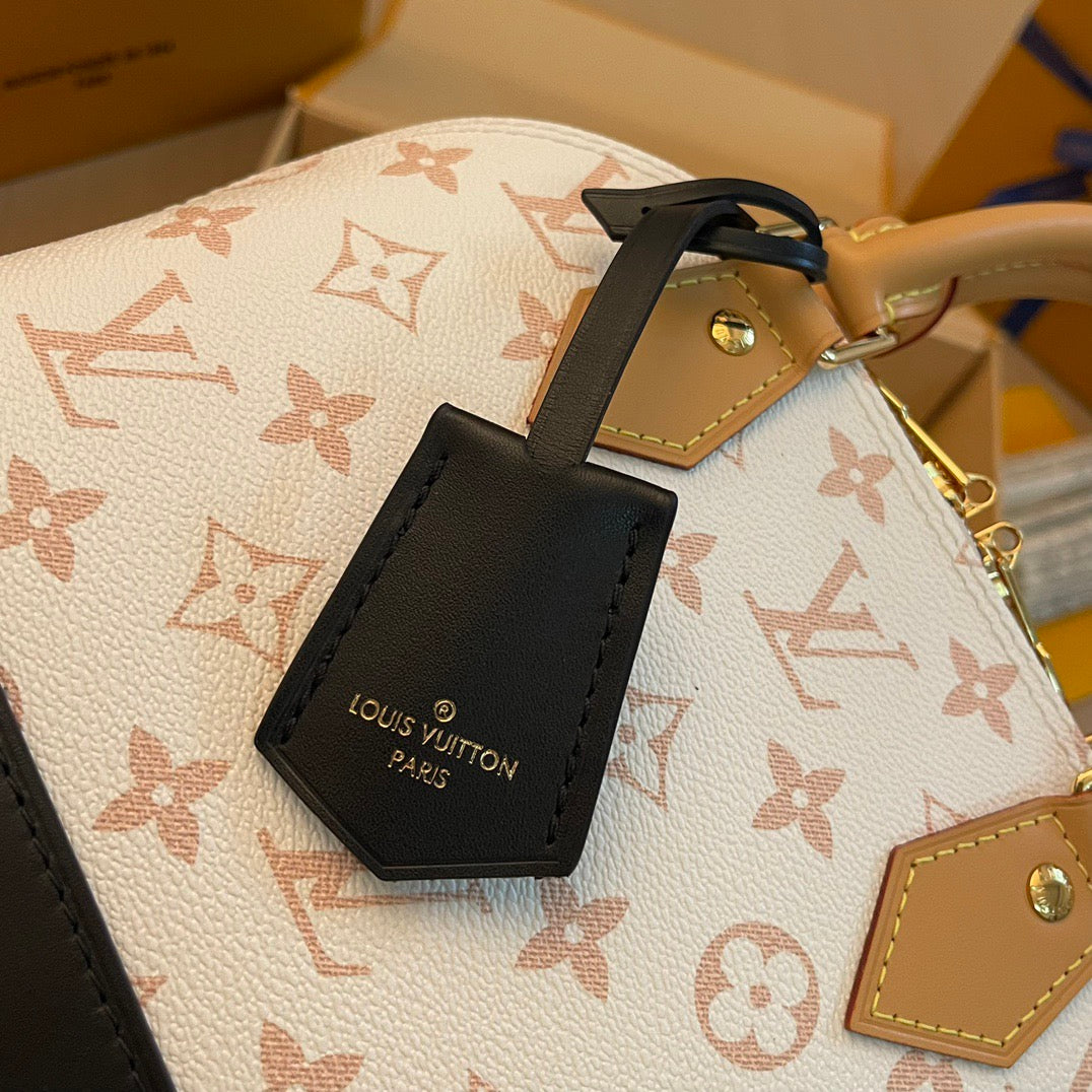 Louis Vuitton Top Bag (LuxluxHouse)