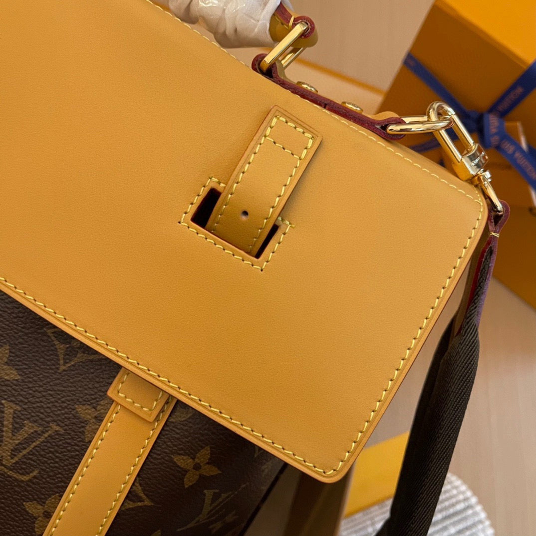 Louis Vuitton Top Bag (LuxluxHouse)