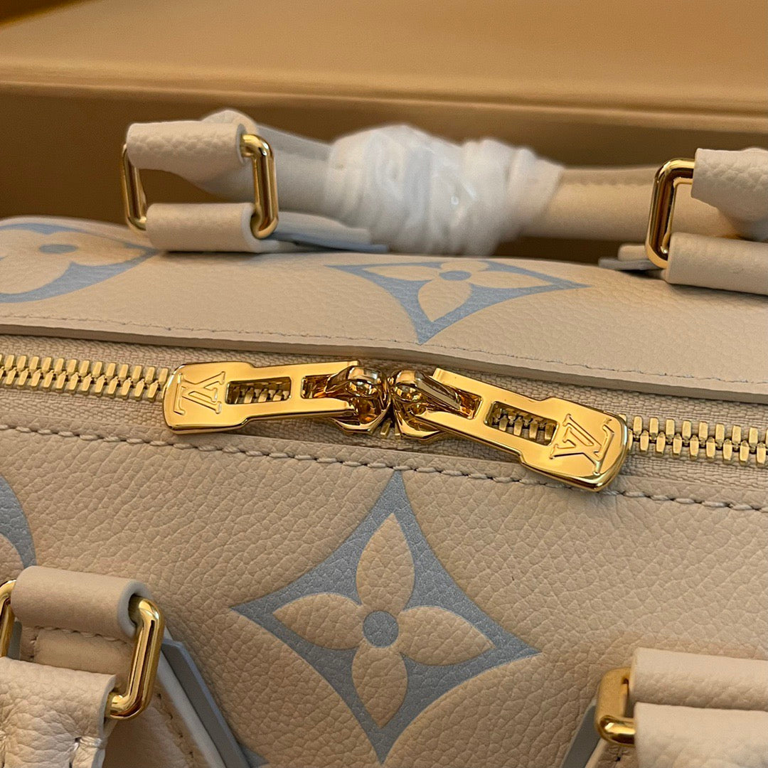 Louis Vuitton Top Bag (LuxluxHouse)