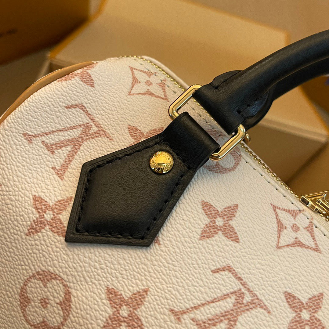 Louis Vuitton Top Bag (LuxluxHouse)