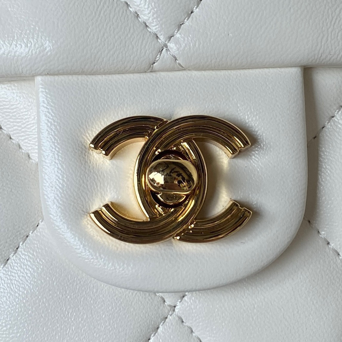 Chanel Bag Top Quality as4023 (LuxluxHouse)