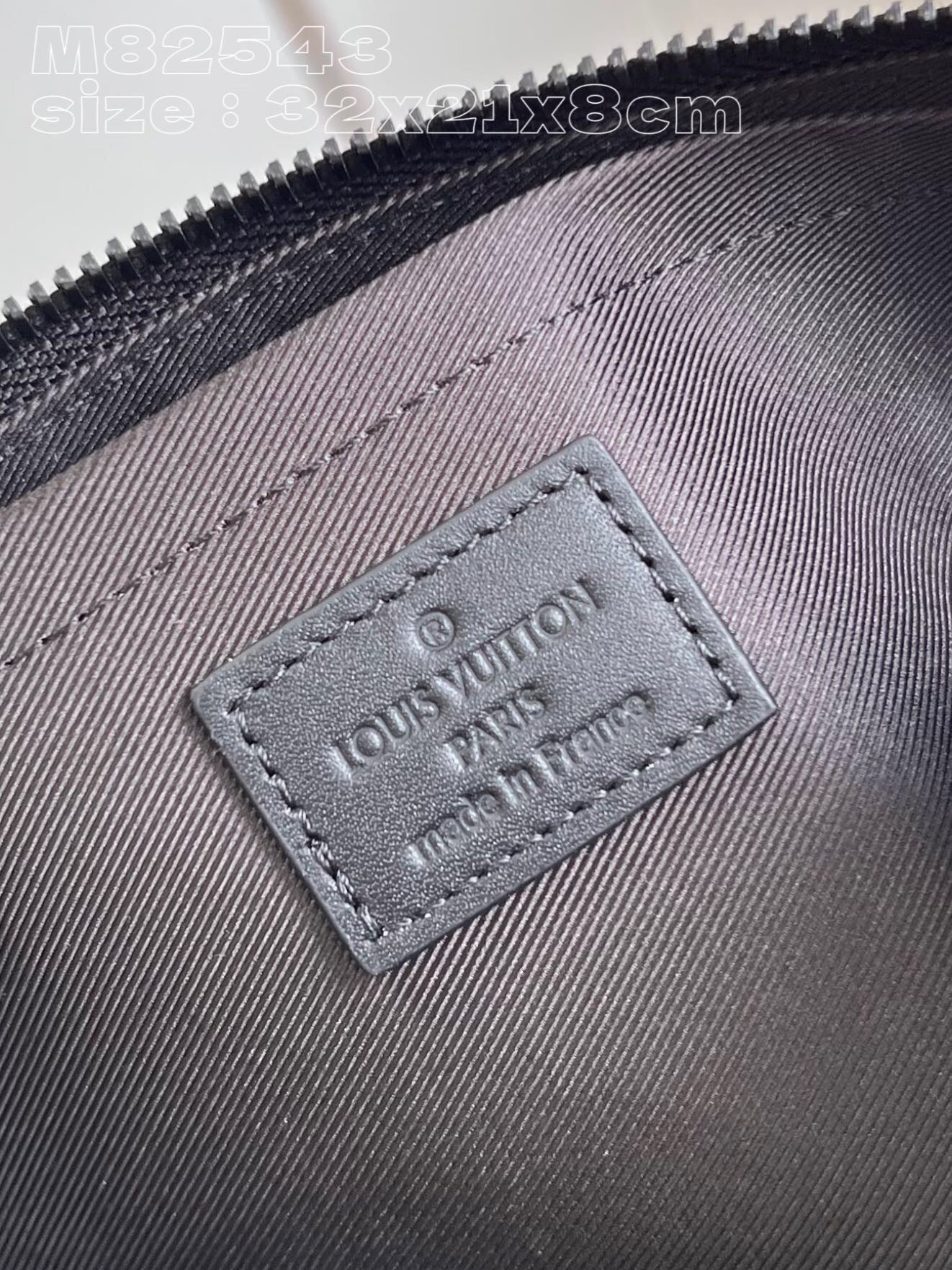 Louis Vuitton Top Bag (LuxluxHouse)