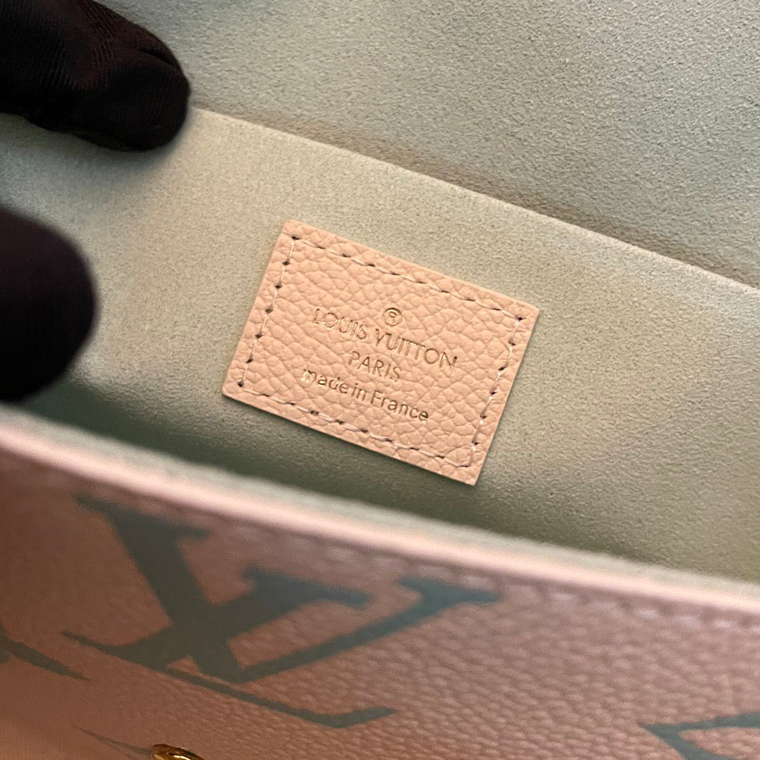 Louis Vuitton Top Bag (LuxluxHouse)