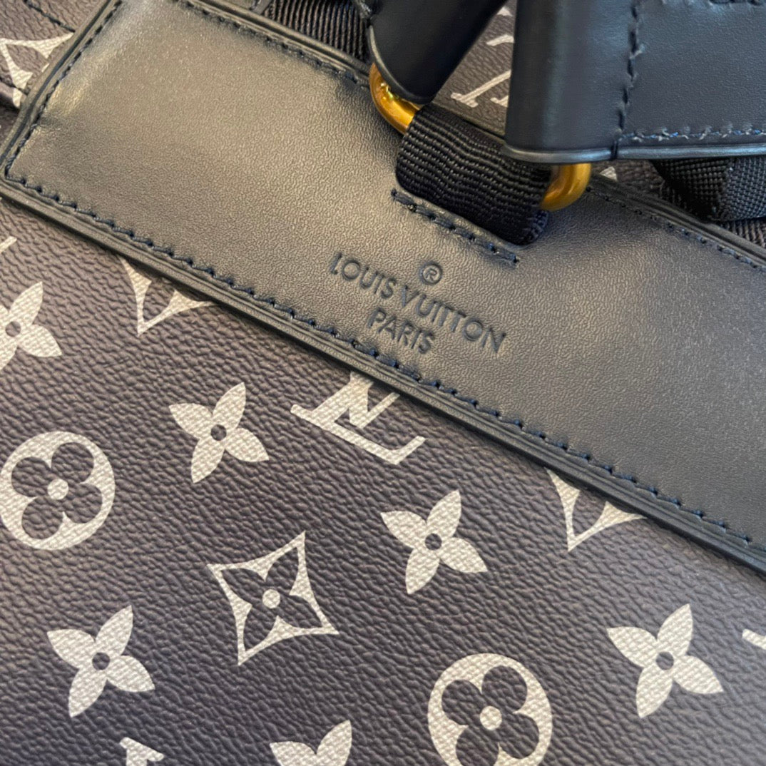 Louis Vuitton Top Bag (LuxluxHouse)