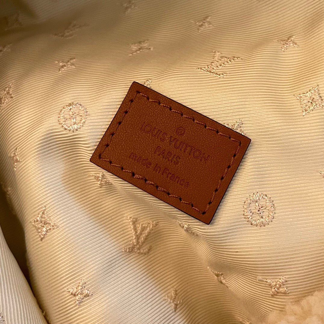 Louis Vuitton Top Bag (LuxluxHouse)