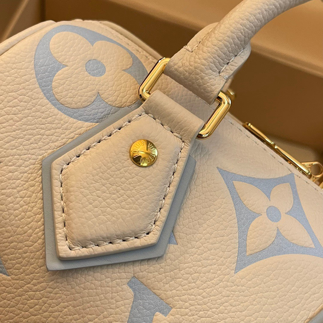 Louis Vuitton Top Bag (LuxluxHouse)