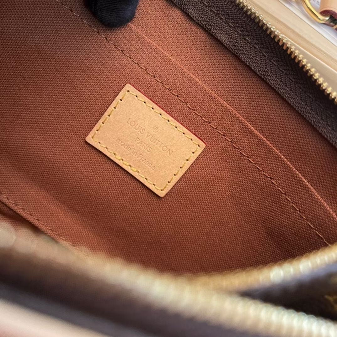 Louis Vuitton Top Bag (LuxluxHouse)