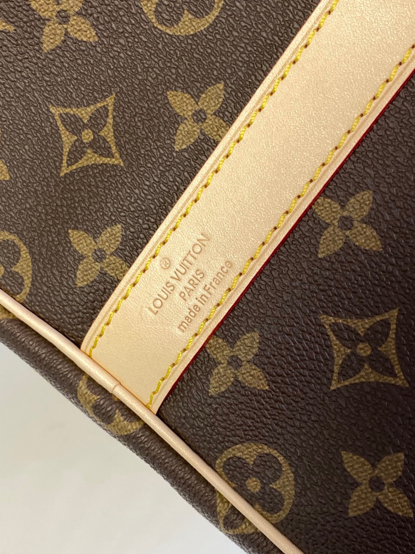 Louis Vuitton Top Bag (LuxluxHouse)