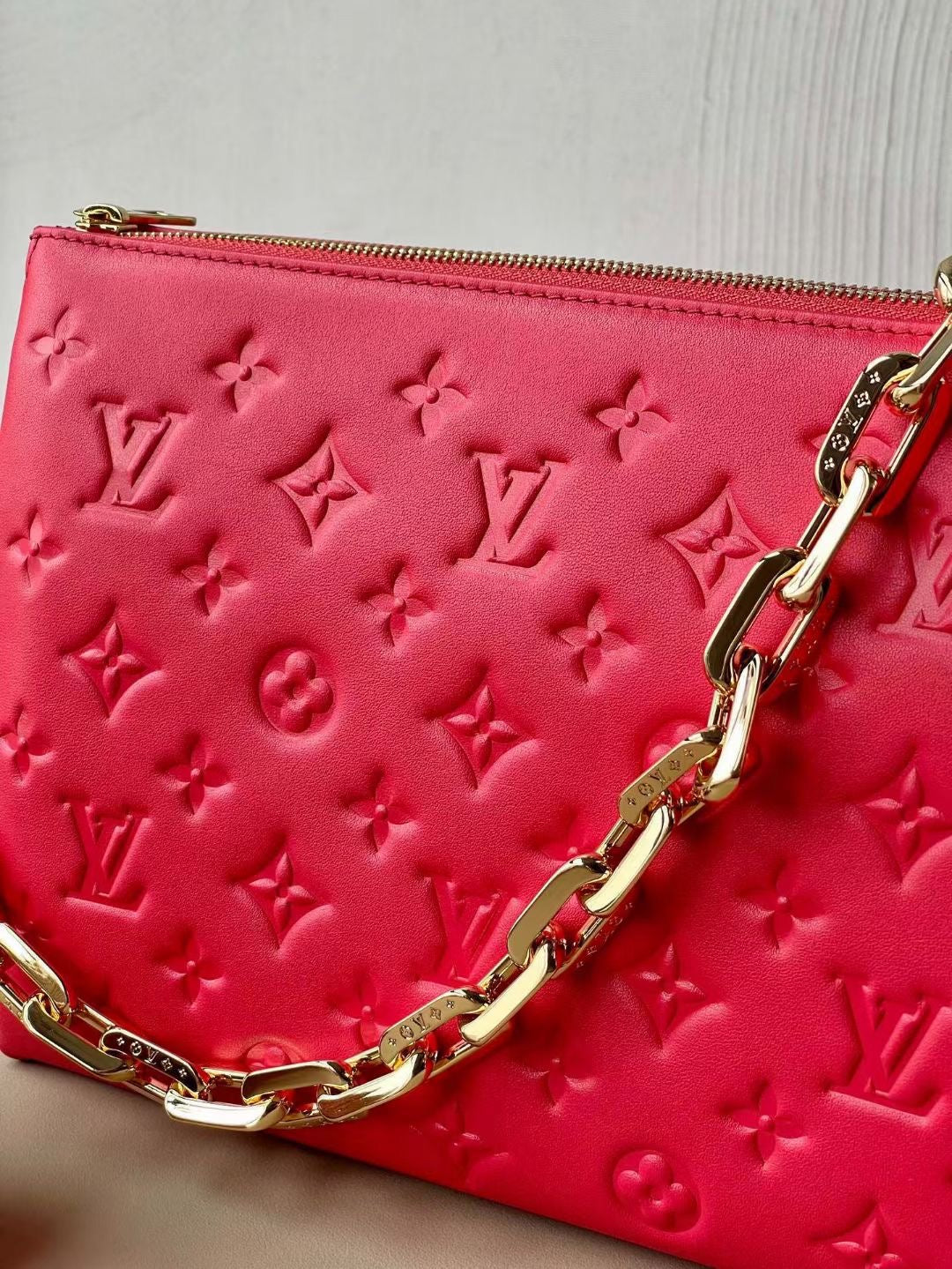 Louis Vuitton Top Bag (LuxluxHouse)