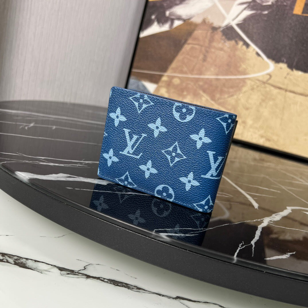 Louis Vuitton Top Bag (LuxluxHouse)