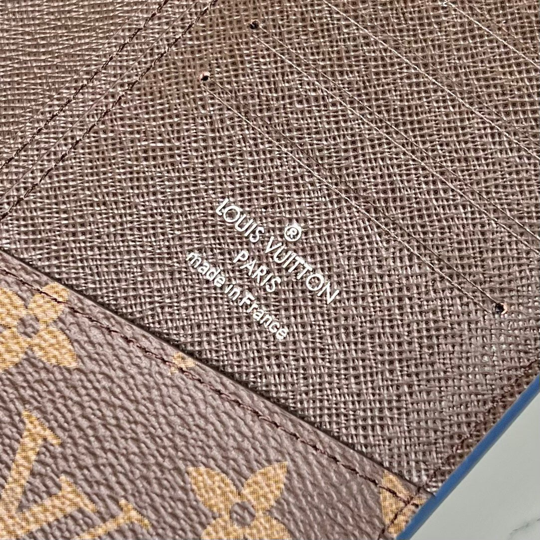 Louis Vuitton Top Bag (LuxluxHouse)