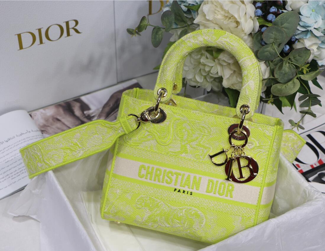 Free shipping LuxluxHouse Dior Top Bag 24*11*20cm