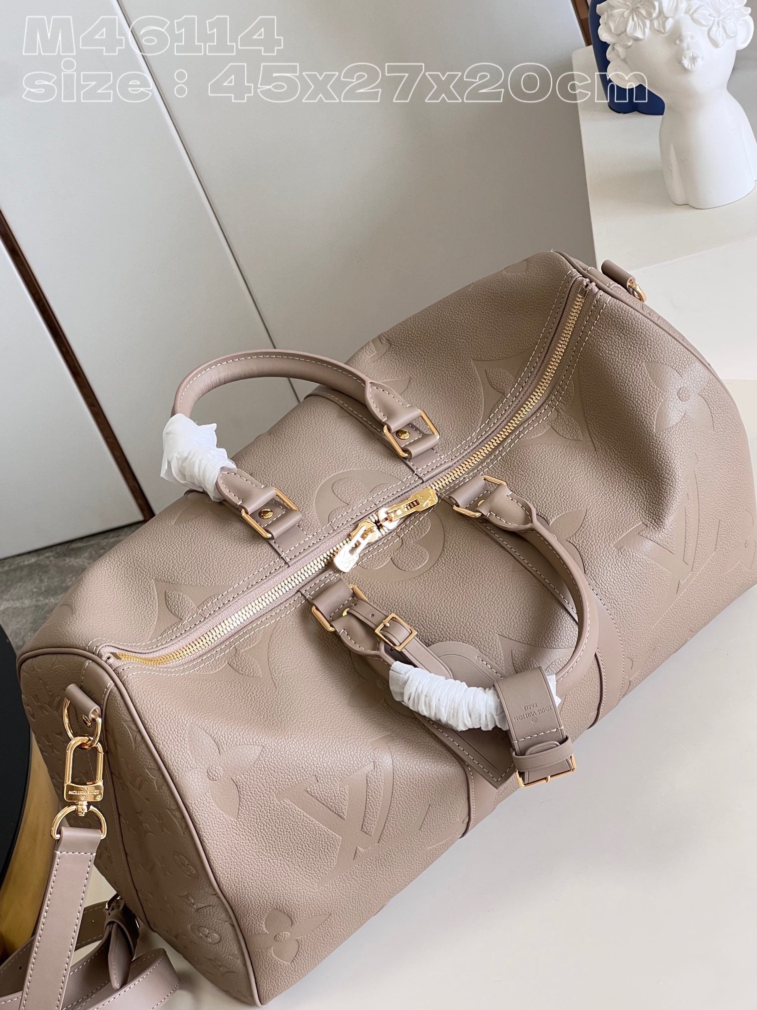 Louis Vuitton Top Bag (LuxluxHouse)