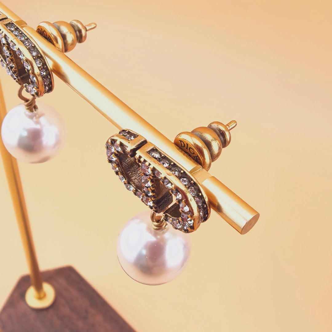 LuxluxHouse Best Quality Accessories Earrings Earrings Dior