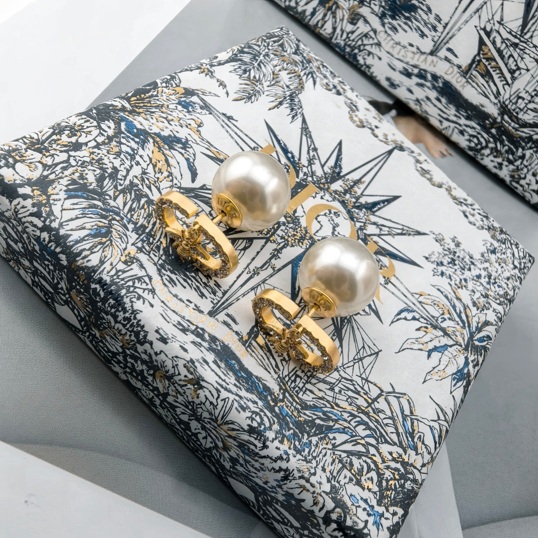 LuxluxHouse Best Quality Accessories Earrings Dior
