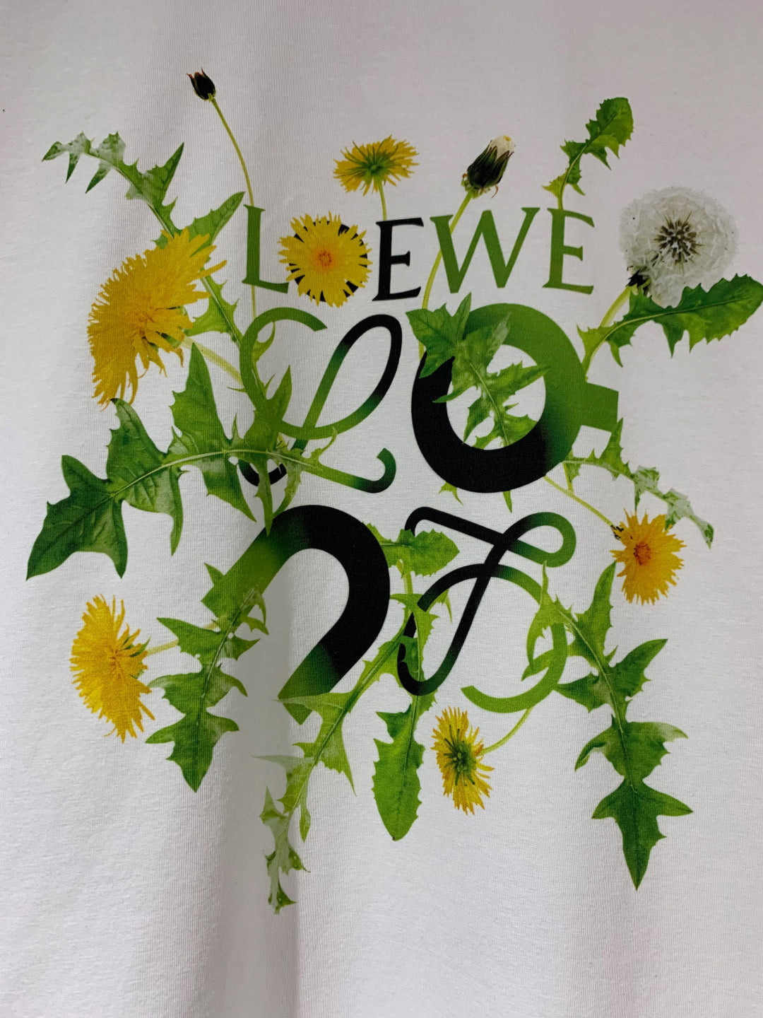 LuxluxHouse Best Quality Clothes T-shirt Loewe