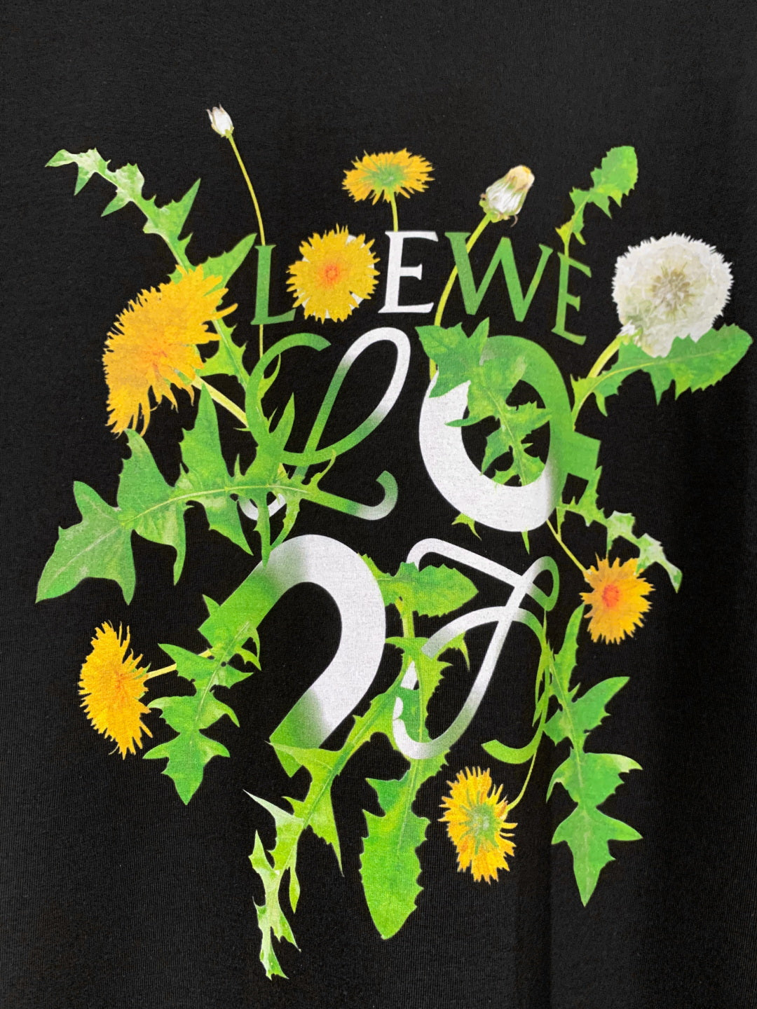 LuxluxHouse Best Quality Clothes T-shirt Loewe